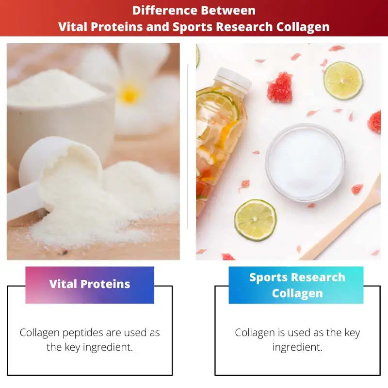 Difference Between Vital Proteins and Sports Research Collagen