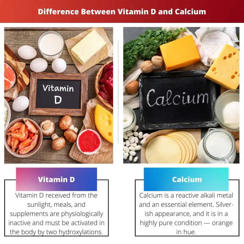 Difference Between Vitamin D and Calcium