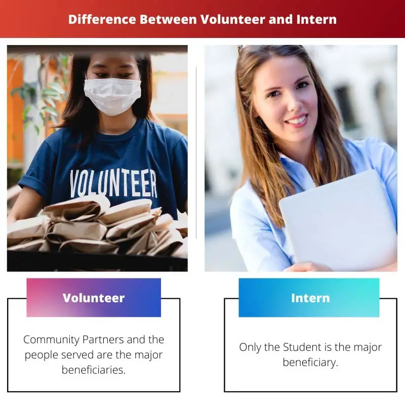 Difference Between Volunteer and Intern