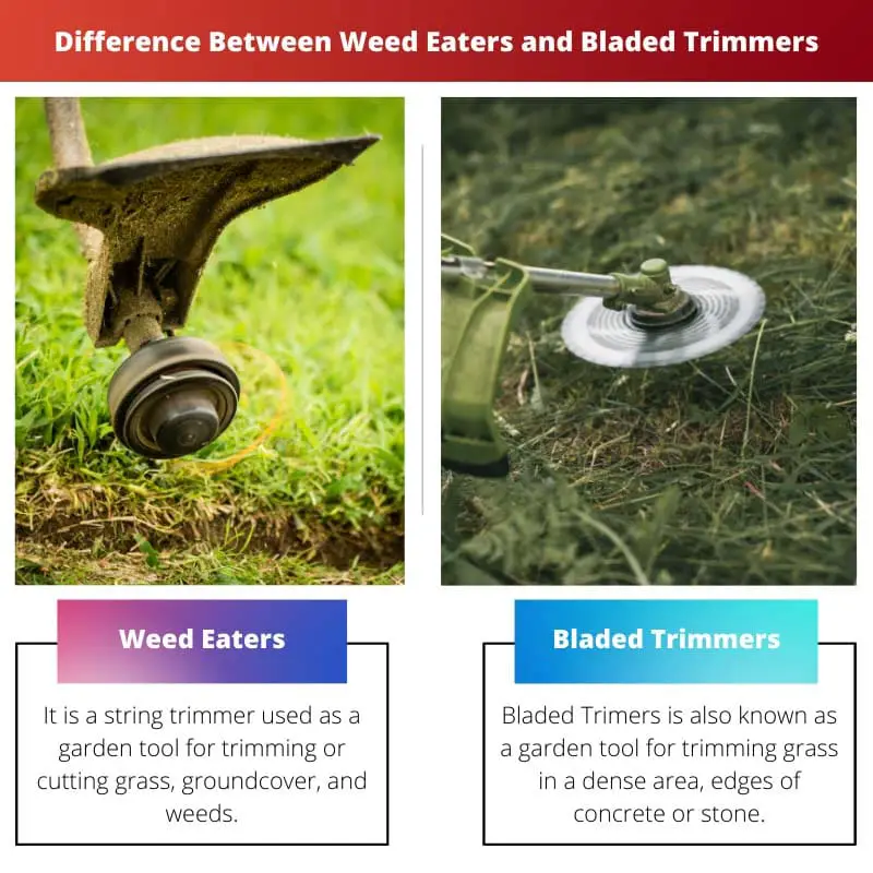 Difference Between Weed Eaters and Bladed Trimmers