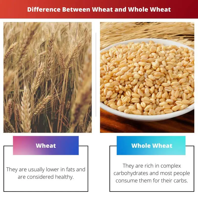 Difference Between Wheat and Whole Wheat