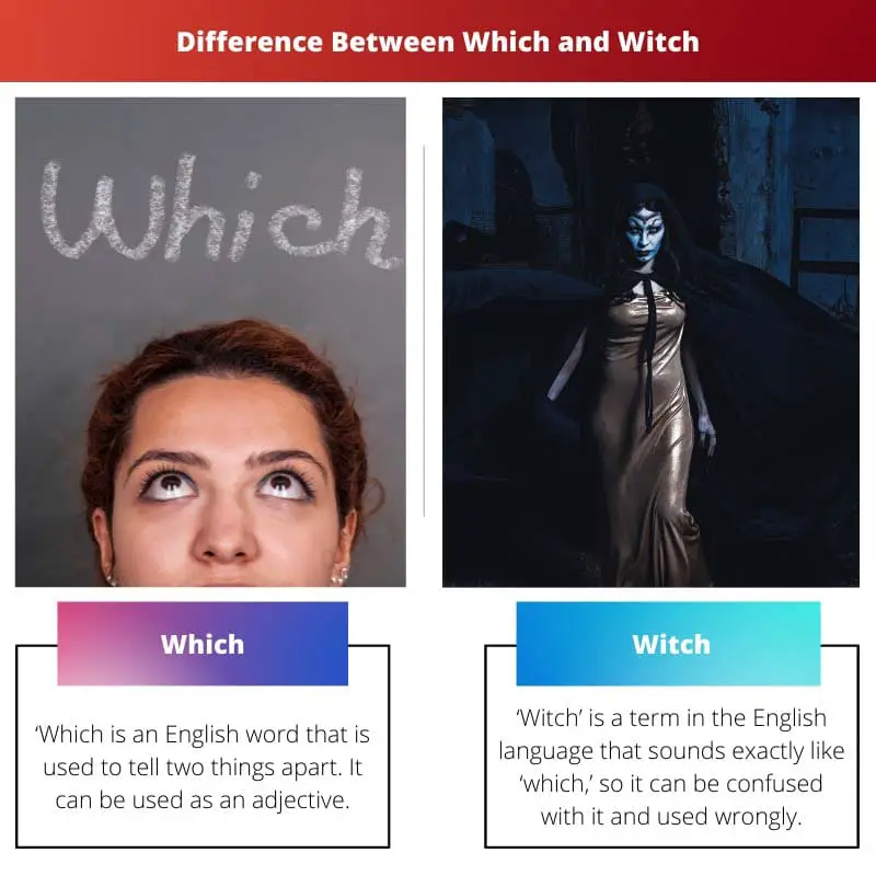 Difference Between Which and Witch