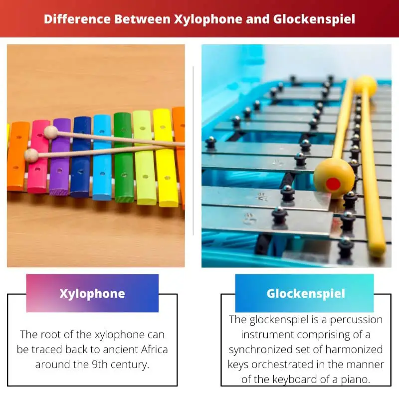 Difference Between Xylophone and Glockenspiel