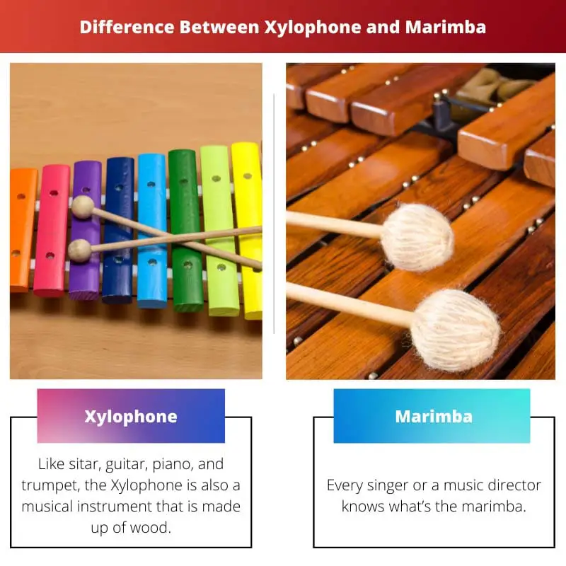 Difference Between Xylophone and Marimba