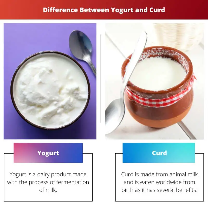 Difference Between Yogurt and Curd