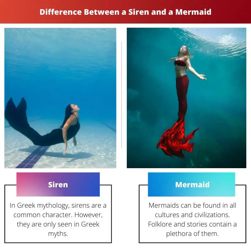 Difference Between a Siren and a Mermaid