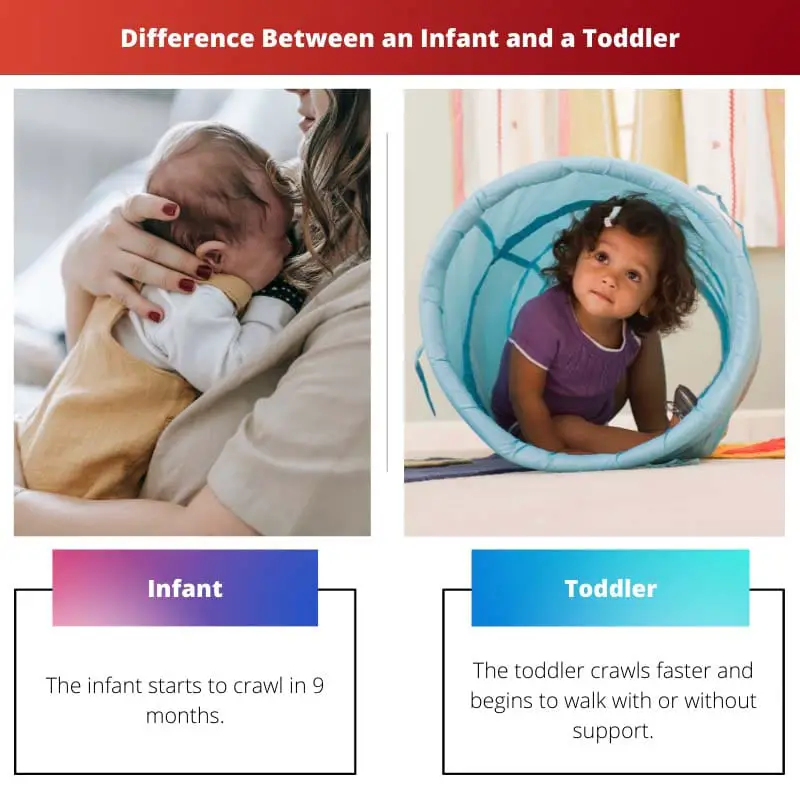 Difference Between an Infant and a Toddler
