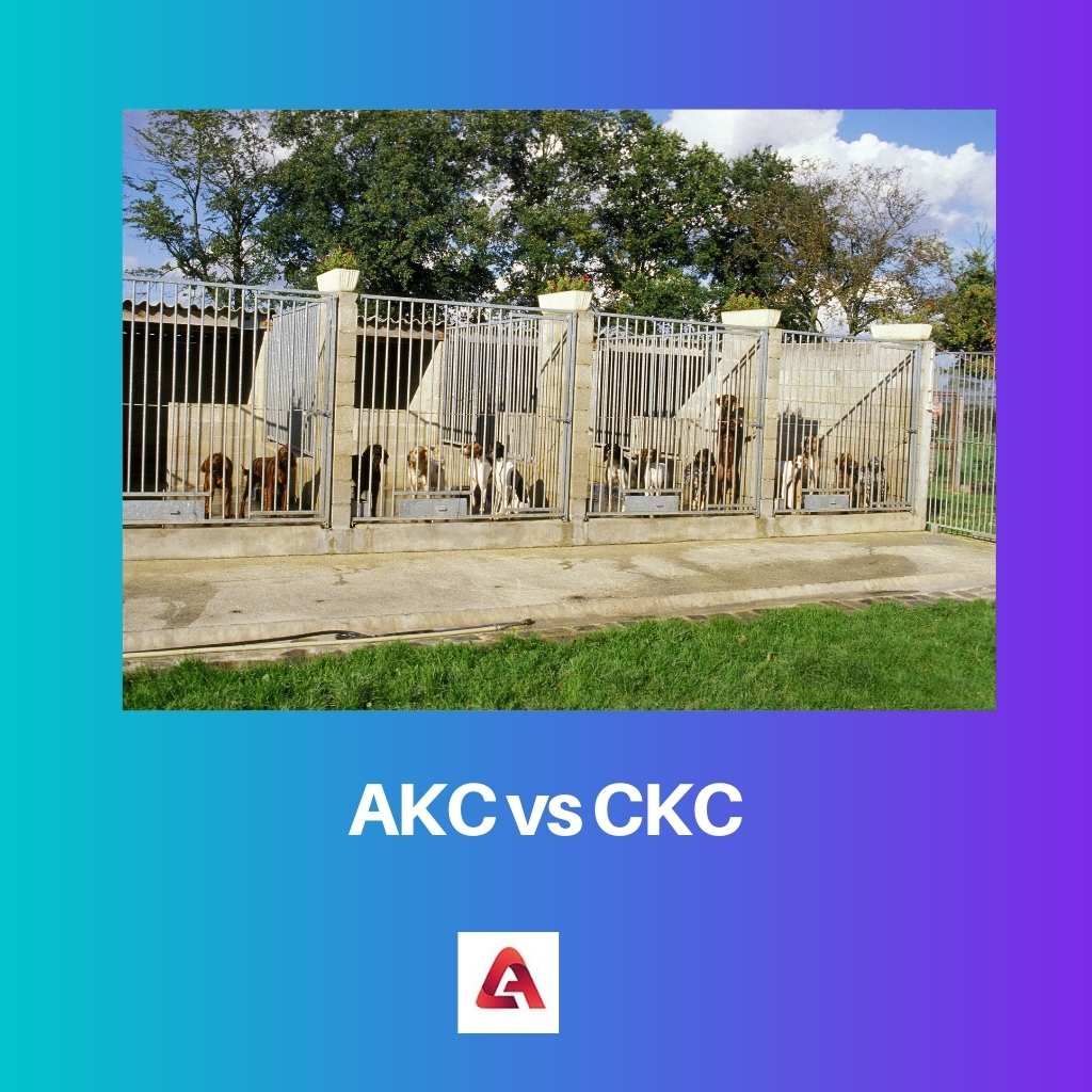 AKC vs CKC 1