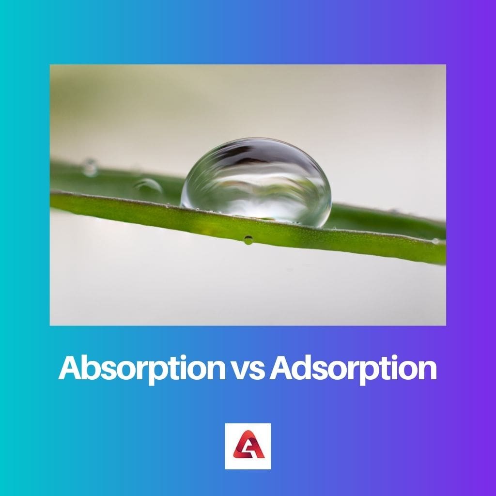 Absorption vs Adsorption