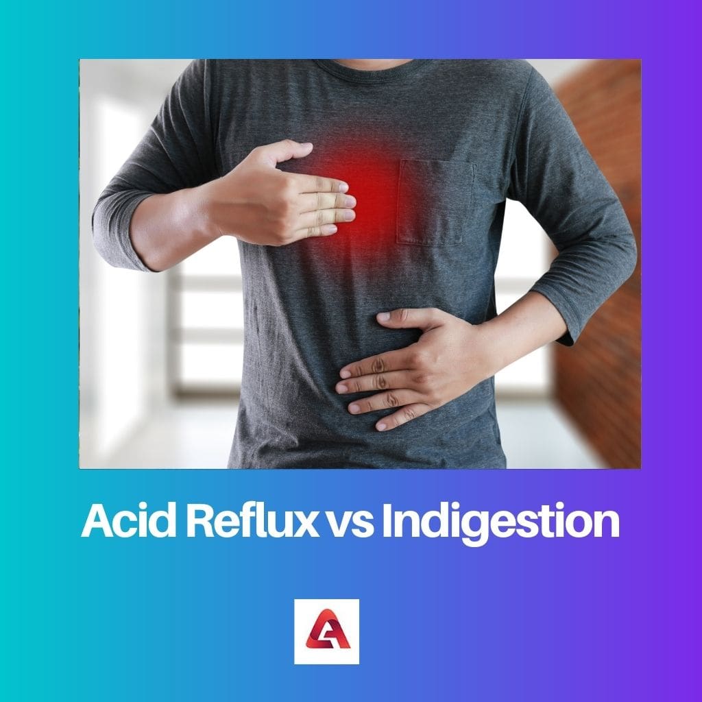 Acid Reflux vs Indigestion
