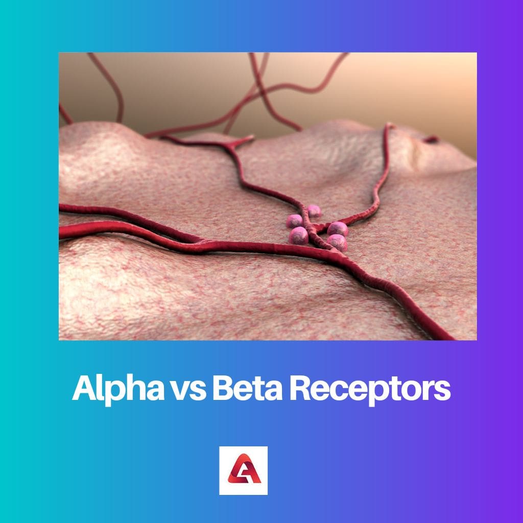 Alpha vs Beta Receptors