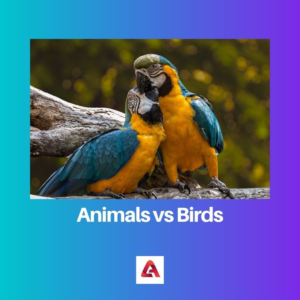 Difference Between Animals and Birds