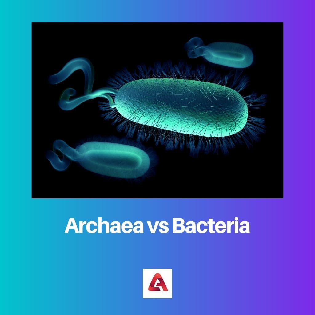 Archaea vs Bacteria