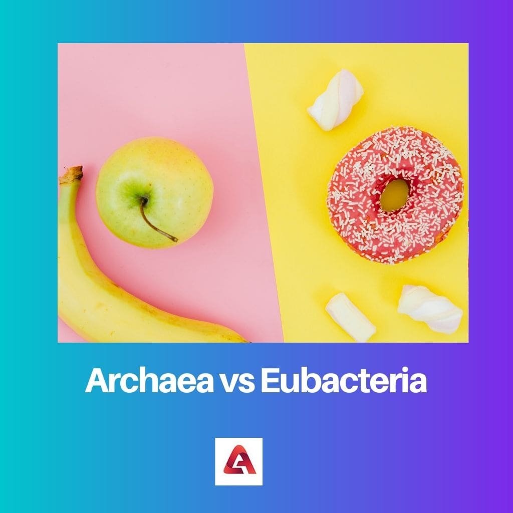 Archaea vs Eubacteria