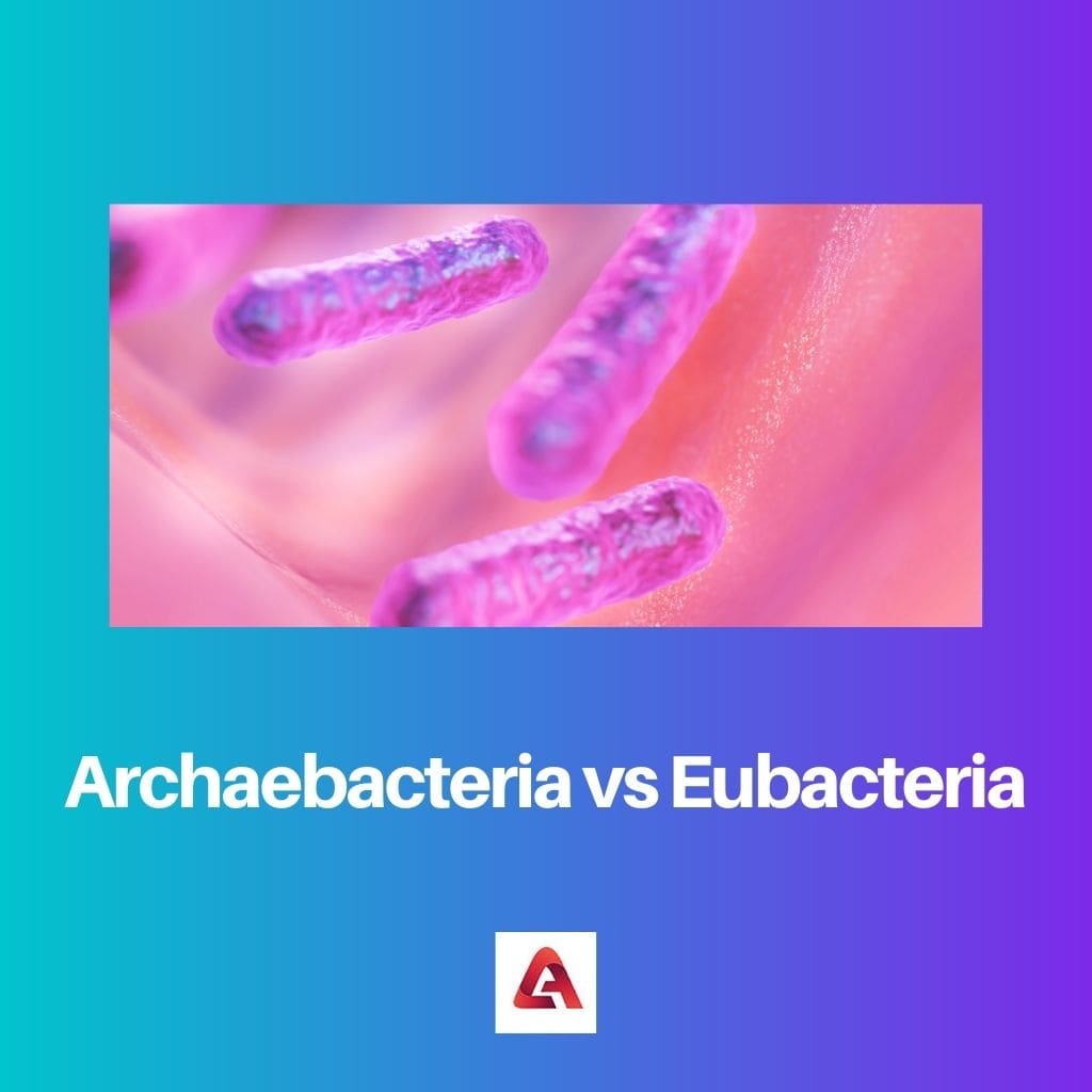Archaebacteria vs Eubacteria