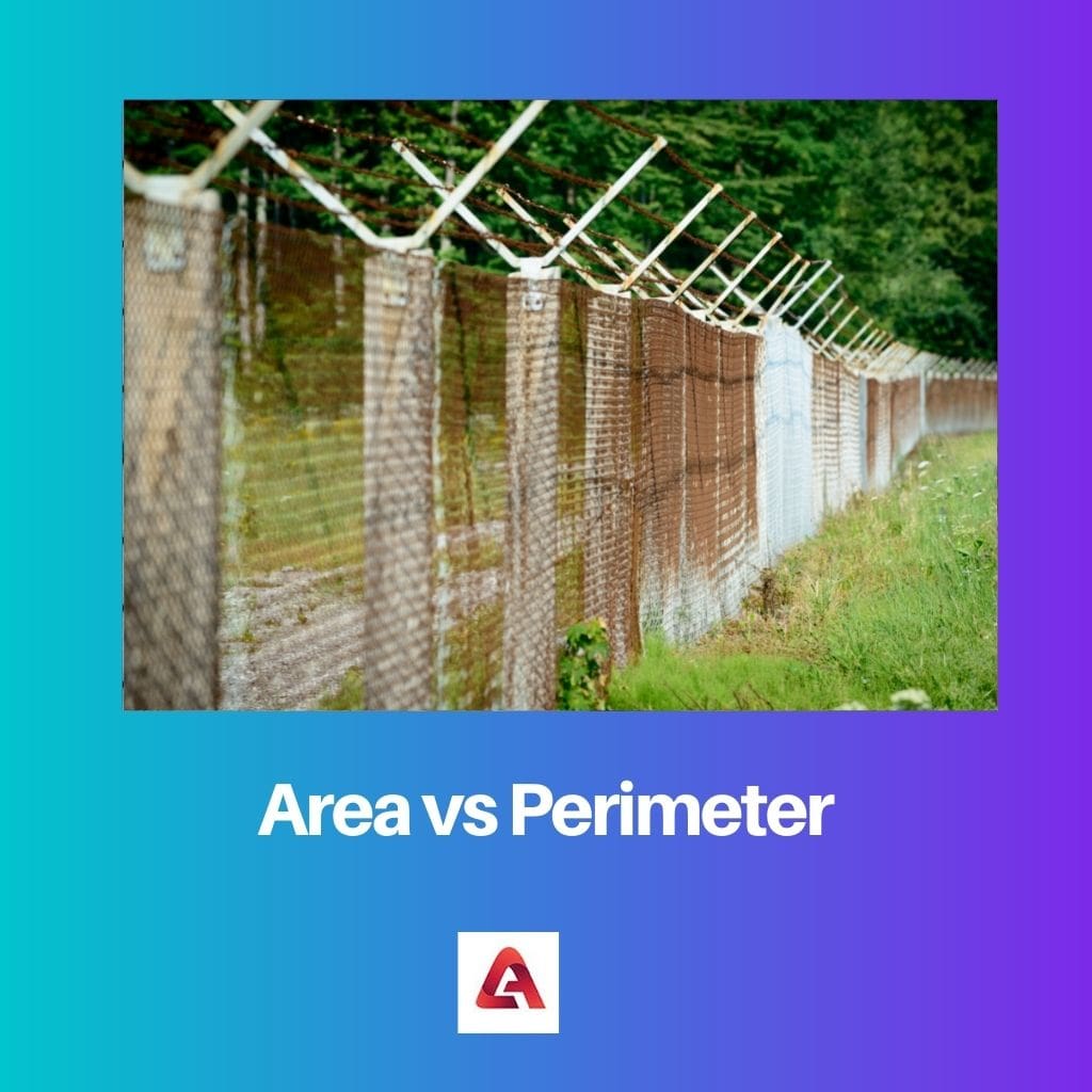 Area vs Perimeter