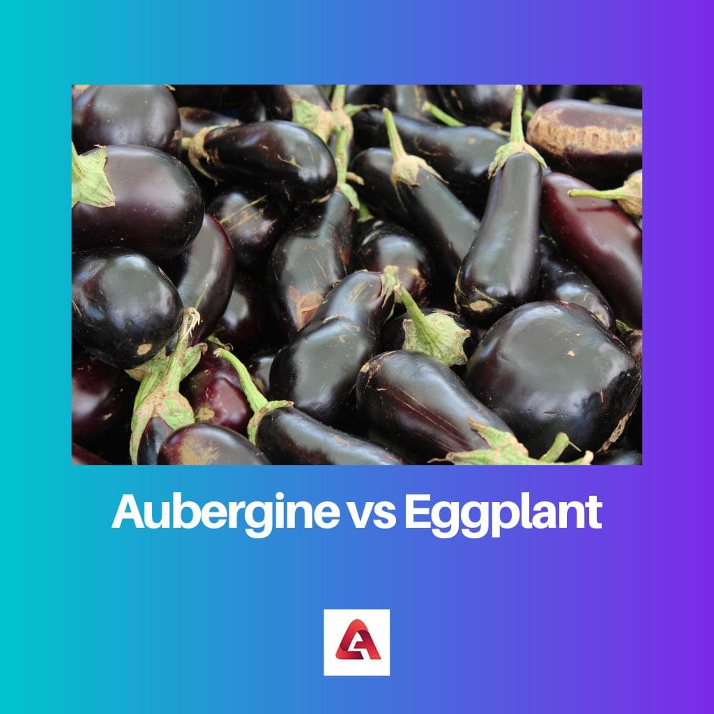 Aubergine vs Eggplant