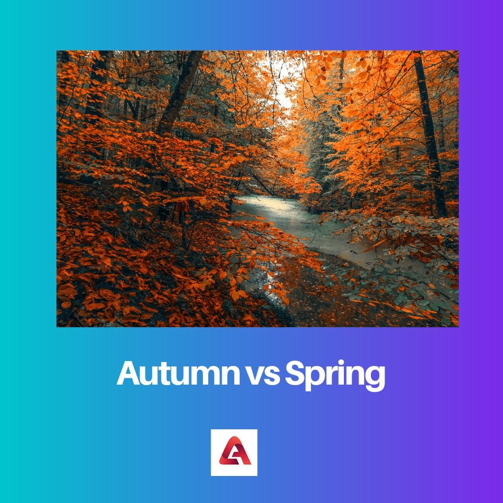 Autumn vs Spring