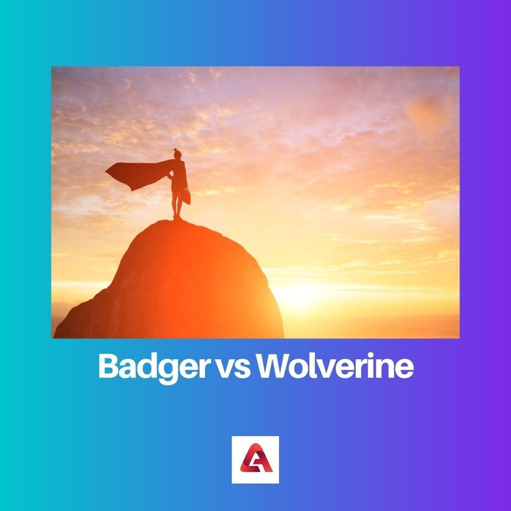 Badger vs Wolverine