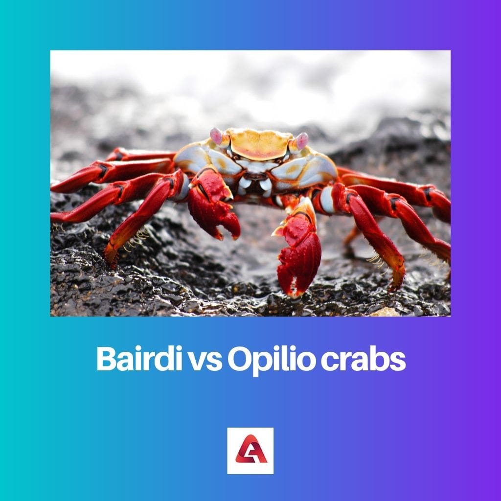 Bairdi vs Opilio crabs