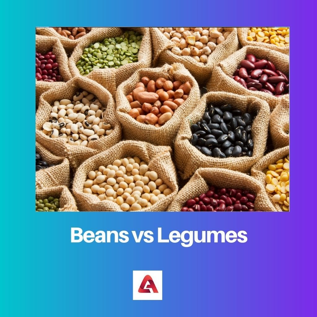 Beans vs Legumes