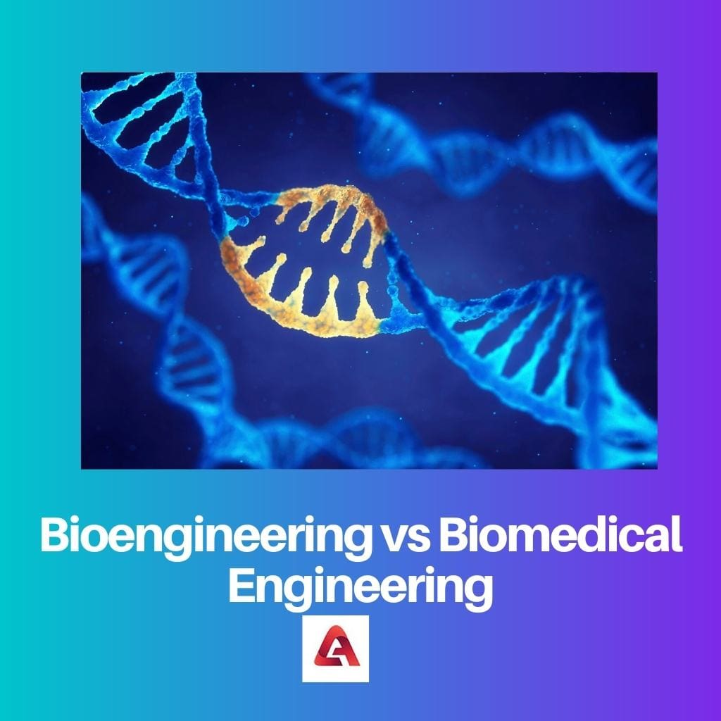 Bioengineering vs Biomedical Engineering