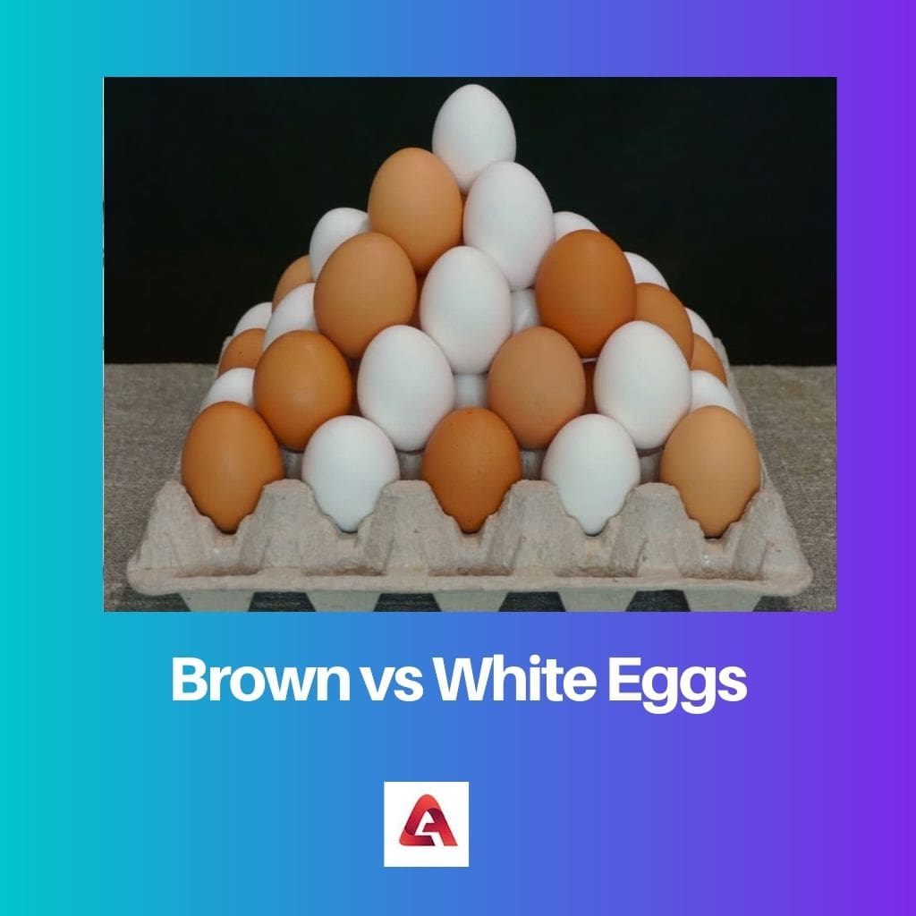 Brown vs White Eggs