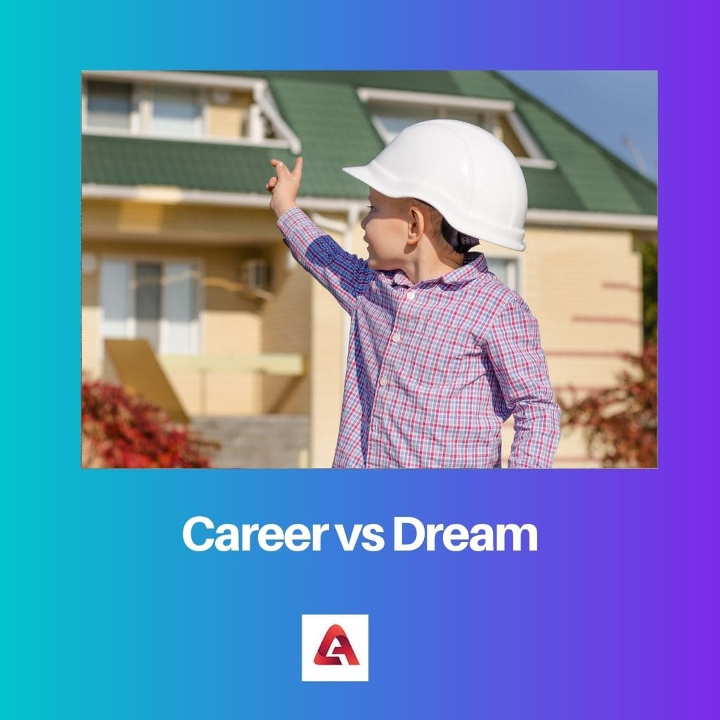 Career vs Dream