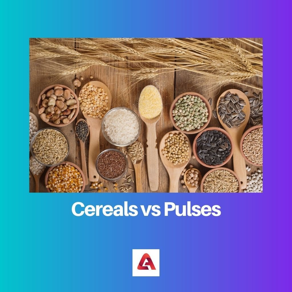 Cereals vs Pulses