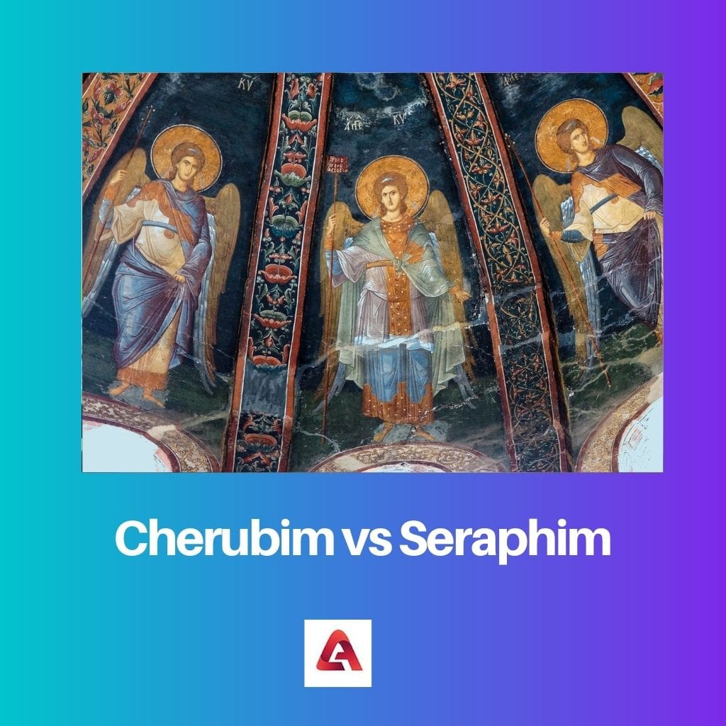 Cherubim vs Seraphim