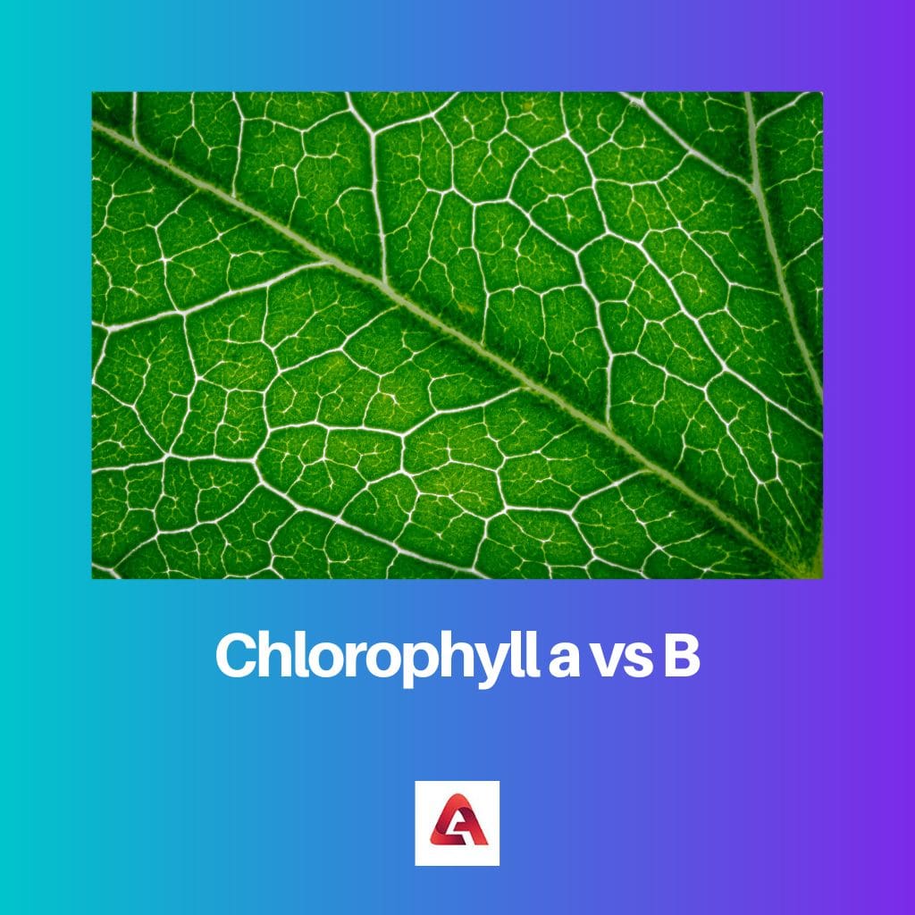 Chlorophyll a vs B