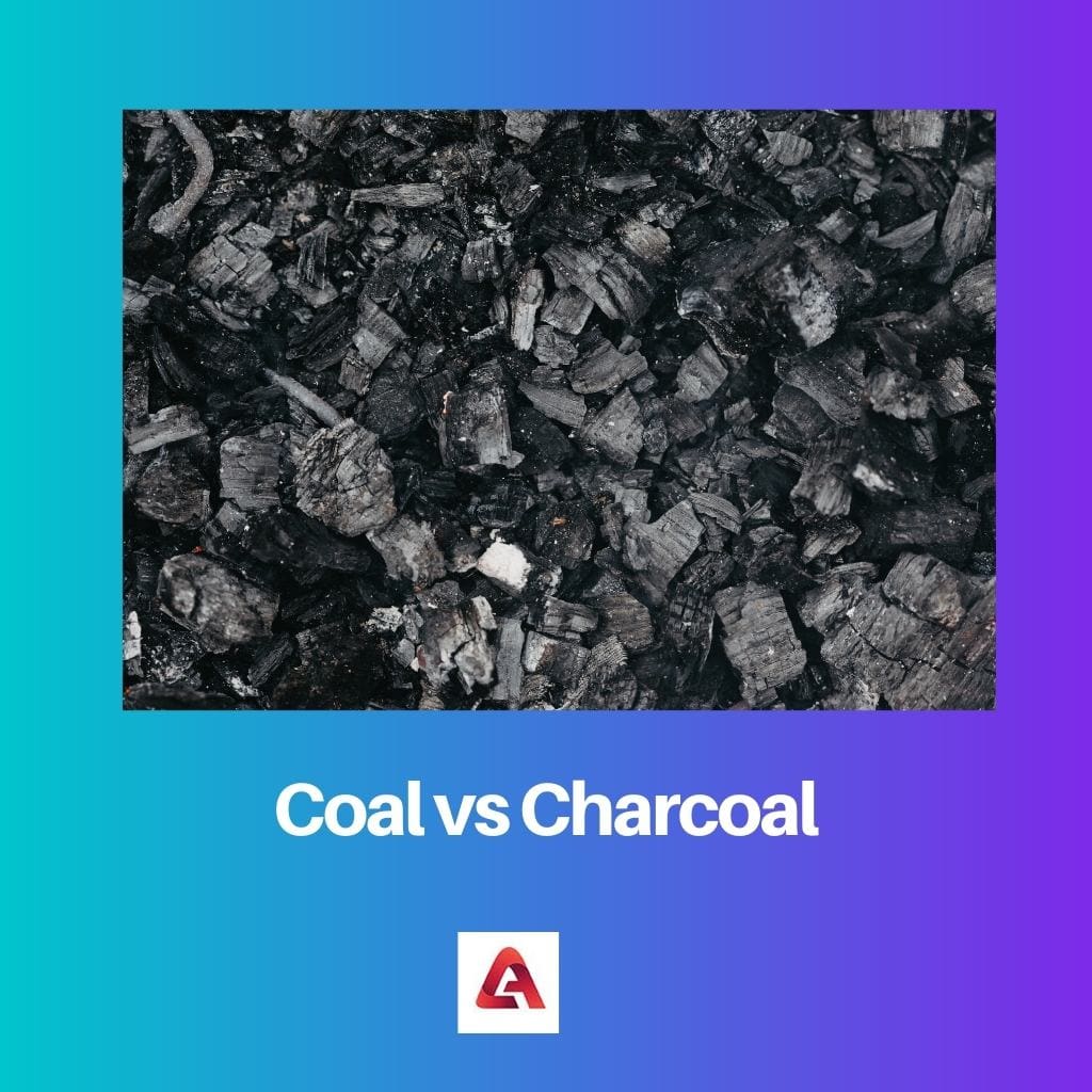 Coal vs Charcoal