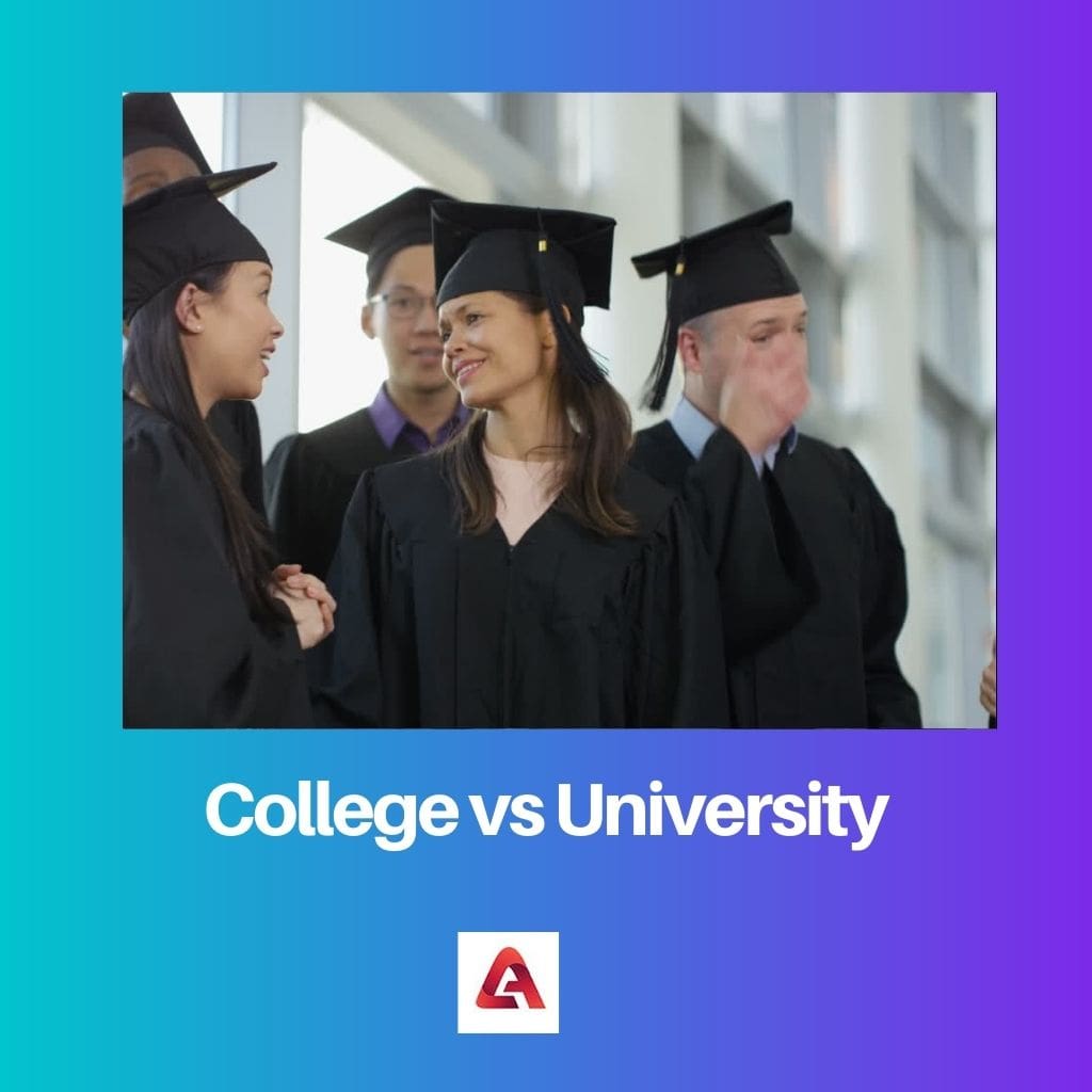 College vs University