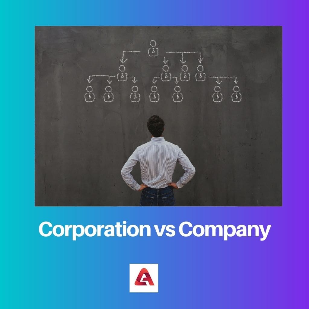 Corporation vs Company