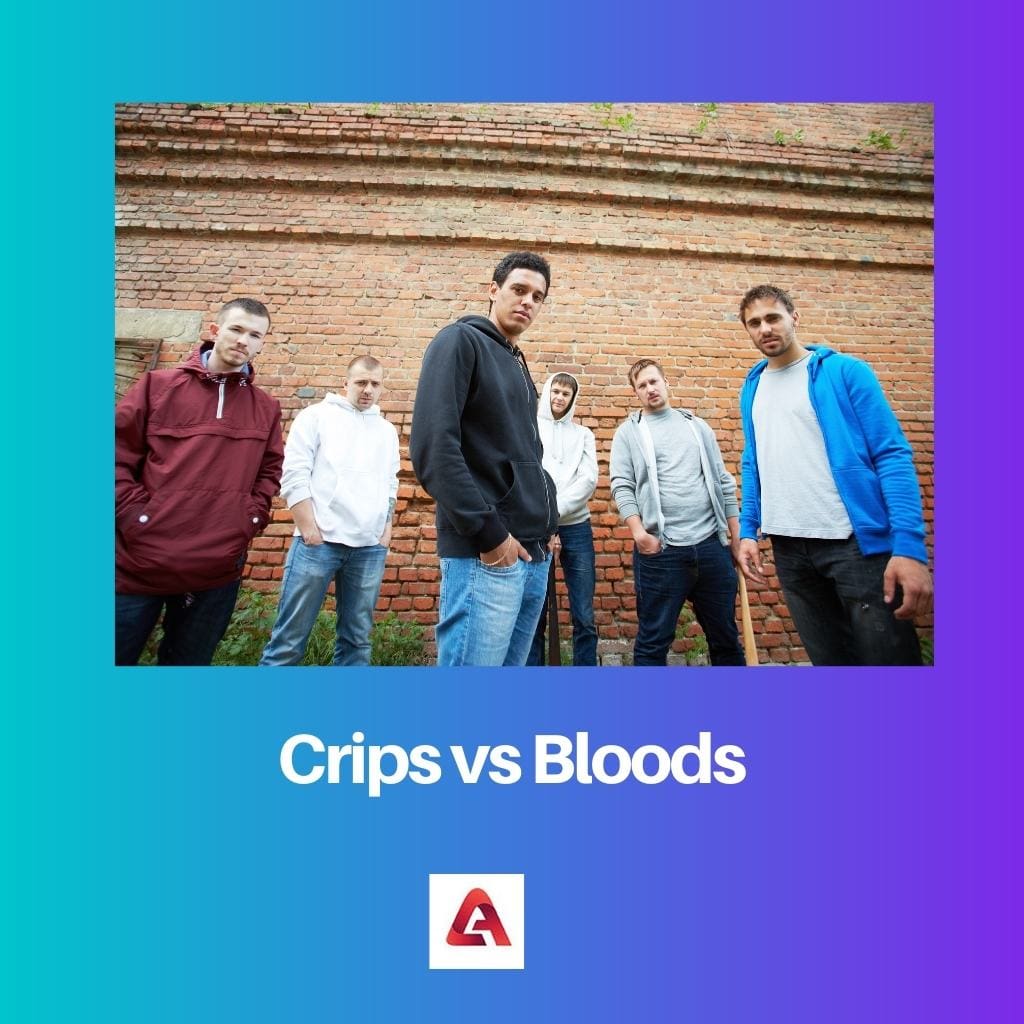 Crips vs Bloods
