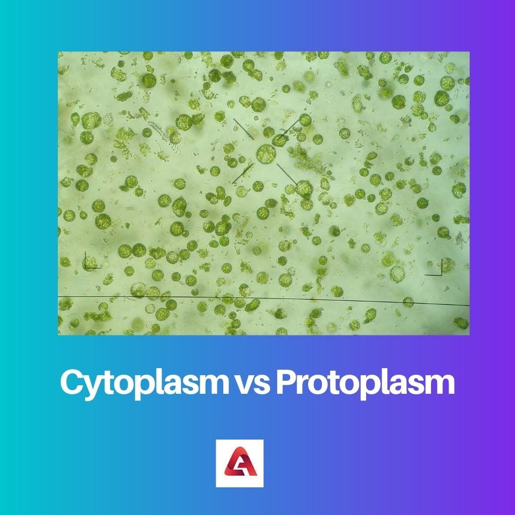 Cytoplasm vs Protoplasm