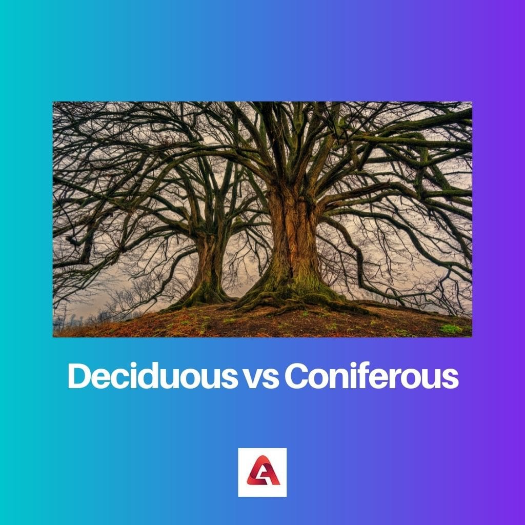 Deciduous vs Coniferous