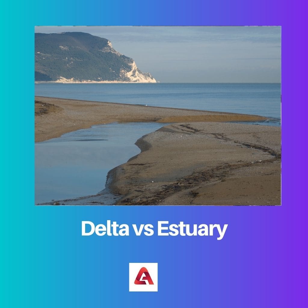 Delta vs Estuary