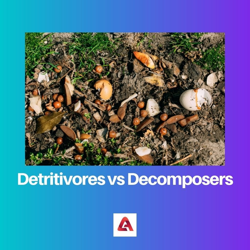 Detritivores vs Decomposers