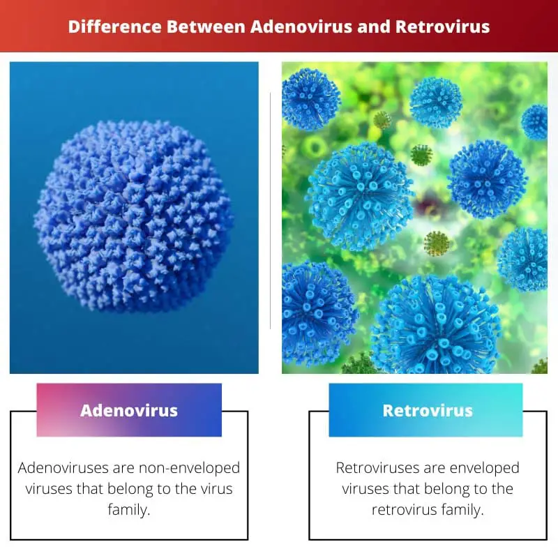 Difference Between Adenovirus and Retrovirus