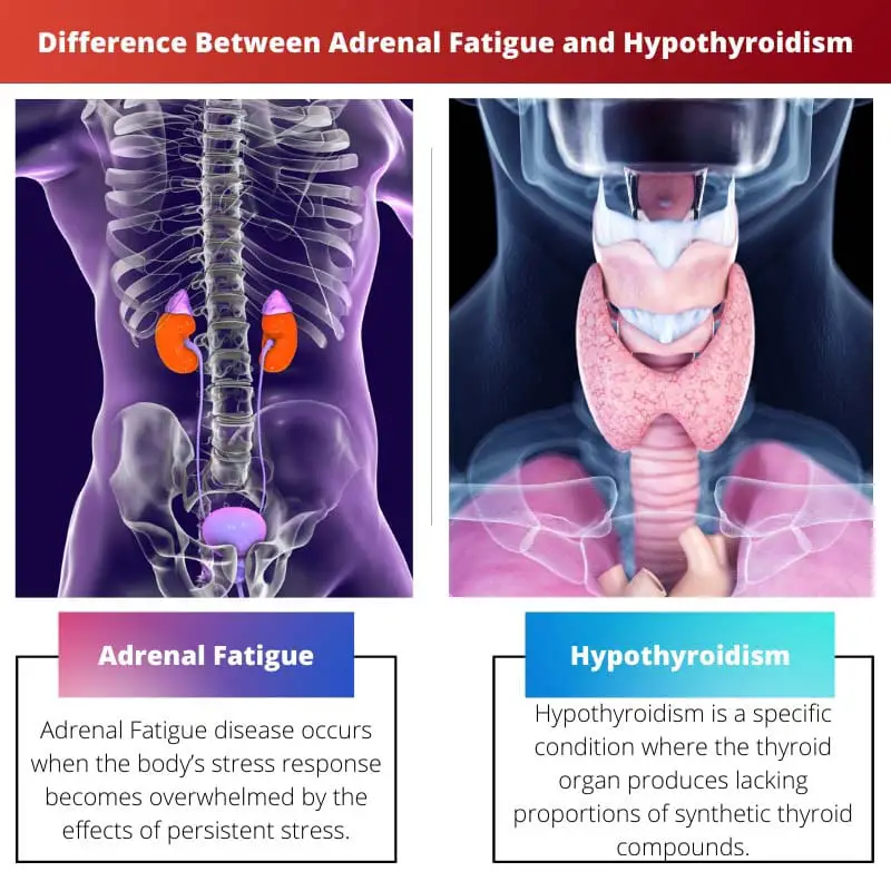 Difference Between Adrenal Fatigue and Hypothyroidism