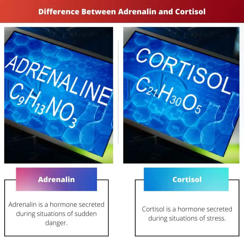 Difference Between Adrenalin and Cortisol