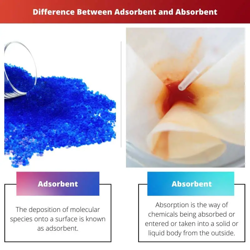 Difference Between Adsorbent and Absorbent