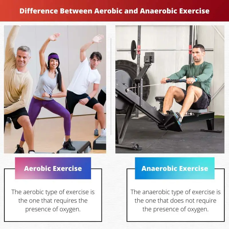 Difference Between Aerobic and Anaerobic
