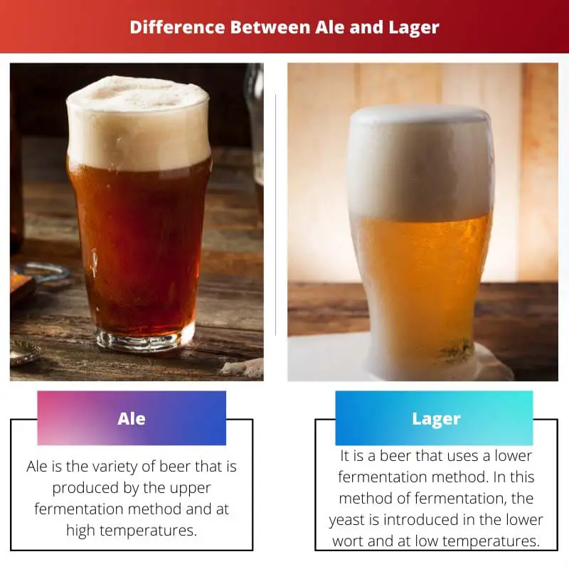 Difference Between Ale and Lager
