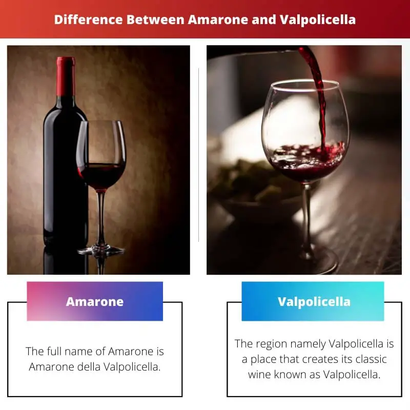 Difference Between Amarone and Valpolicella