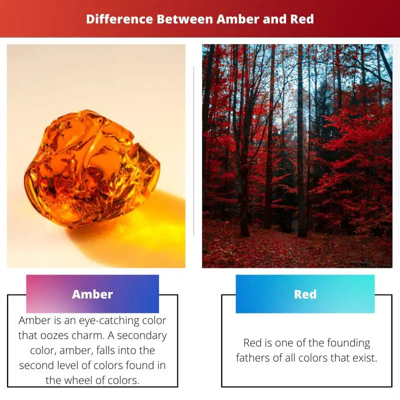 Difference Between Amber and Red