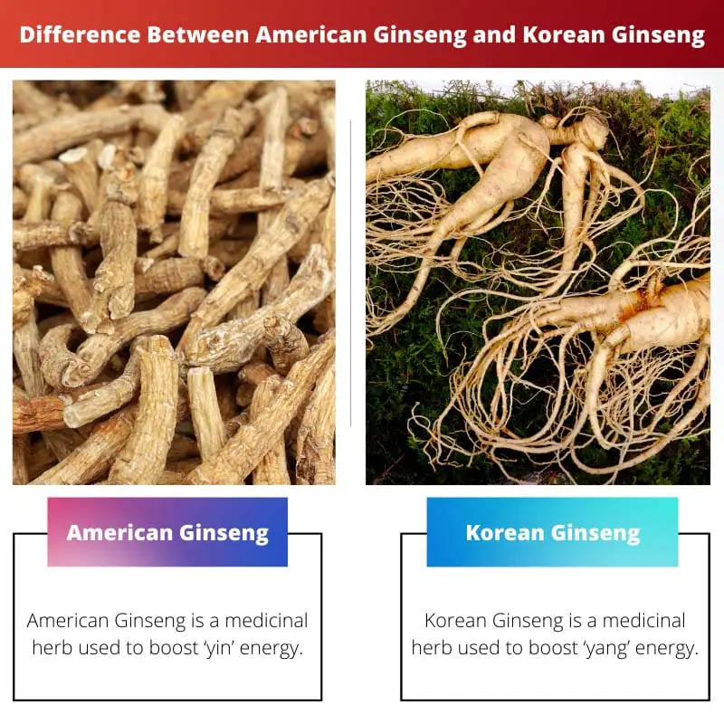 Difference Between American Ginseng and Korean Ginseng