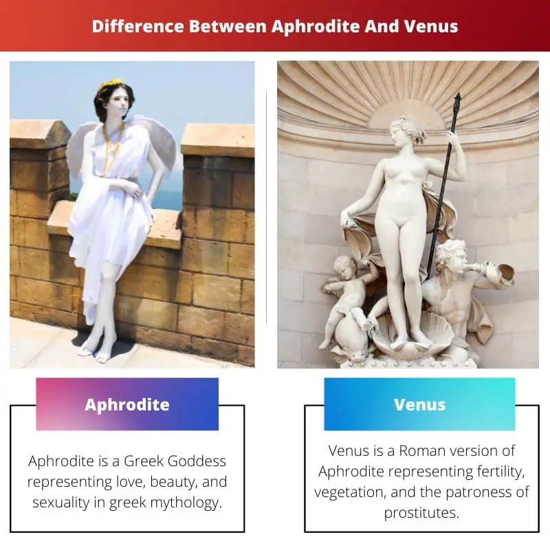 Difference Between Aphrodite And Venus