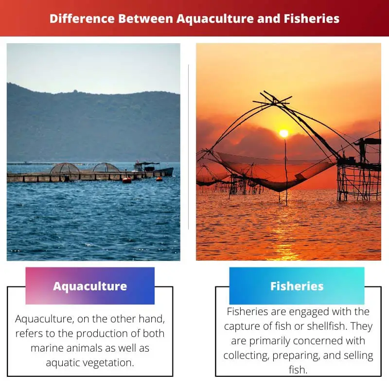Difference Between Aquaculture and Fisheries